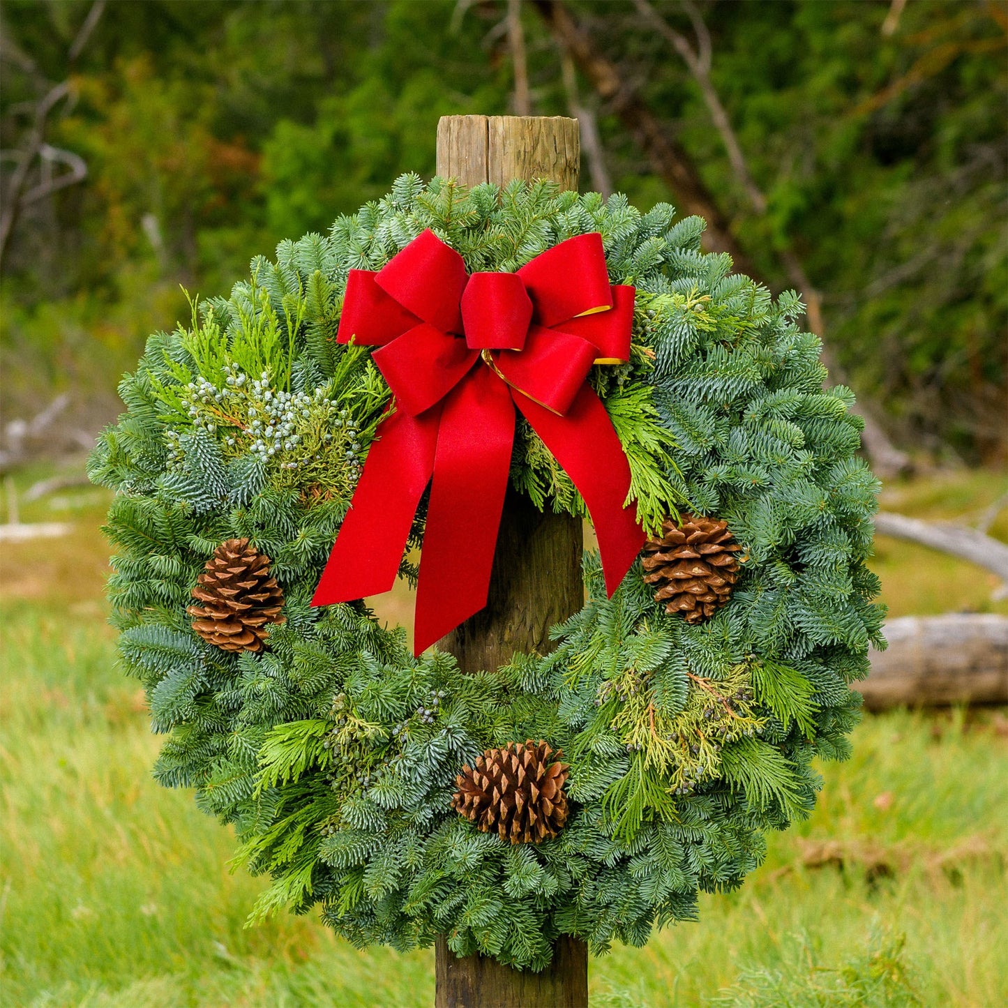 Christmas The Traditional Wreath